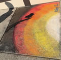 Honorable Mention-Bird Shadow by Kinley Perk